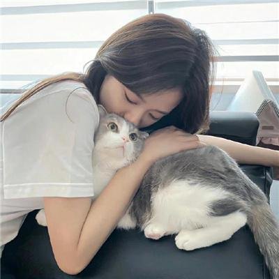 被驱逐的馆长